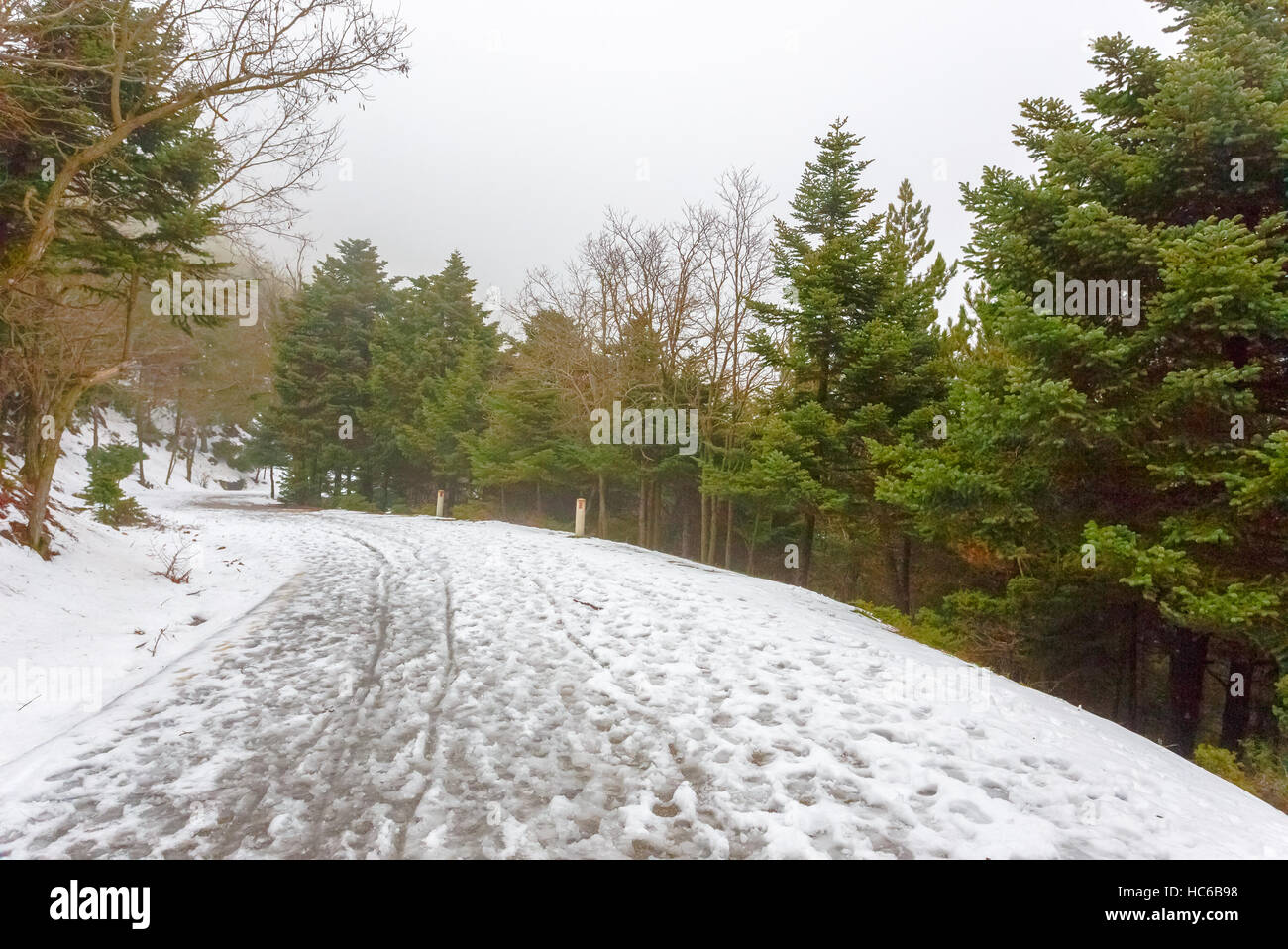 Beautiful winter scene in snowy landscape at mountain forest in Greece ...