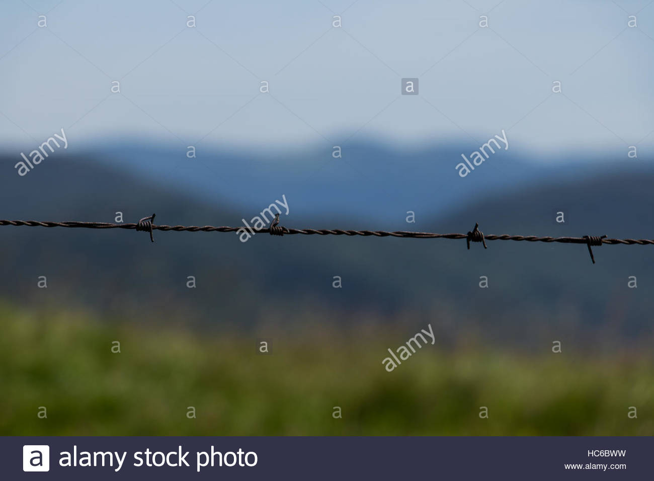 Barbed Wire Fence Old Stock Photos & Barbed Wire Fence Old Stock ...