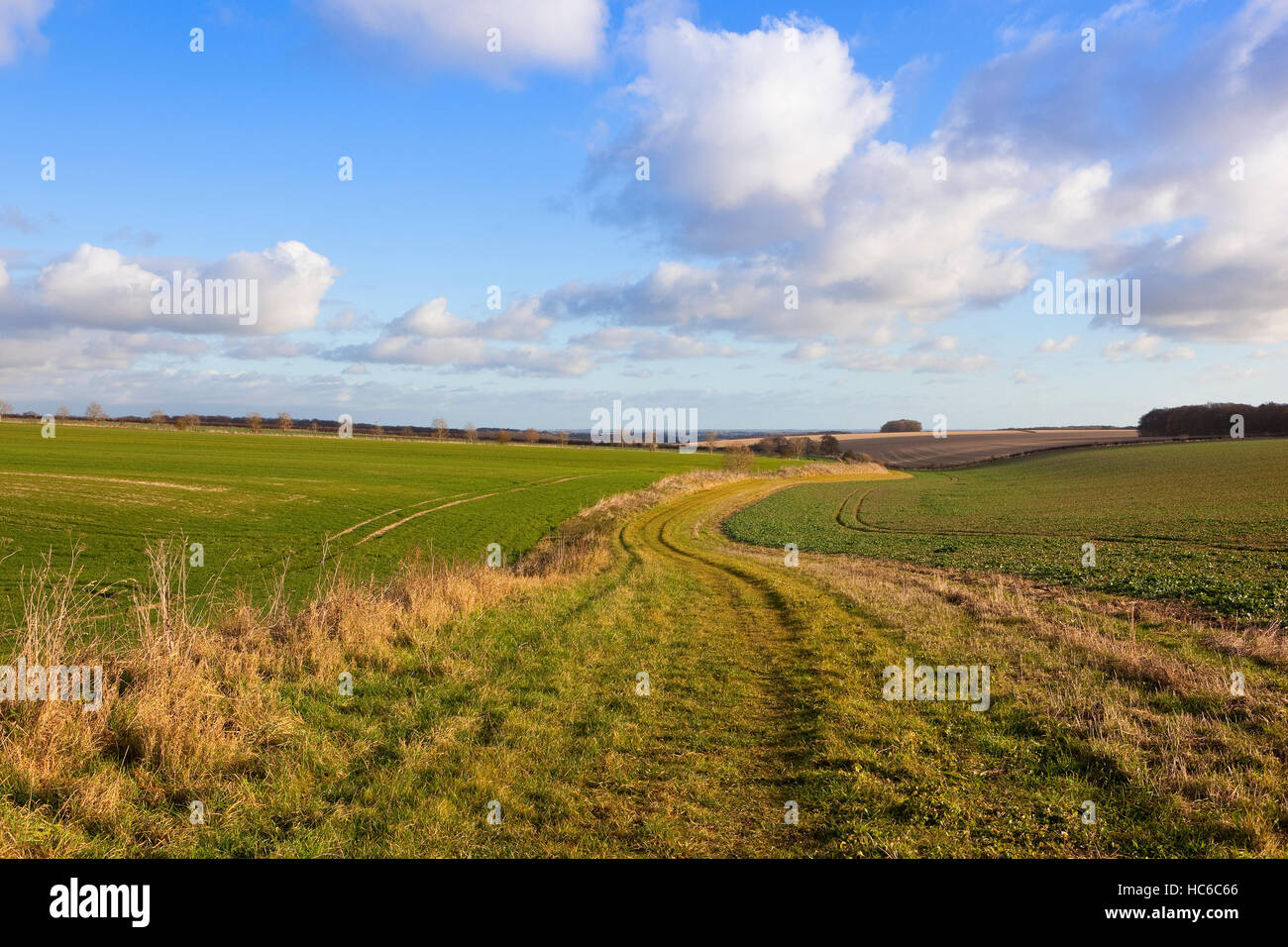 Undulating Footpath A grassy scenic footpath and bridleway through the undulating ...