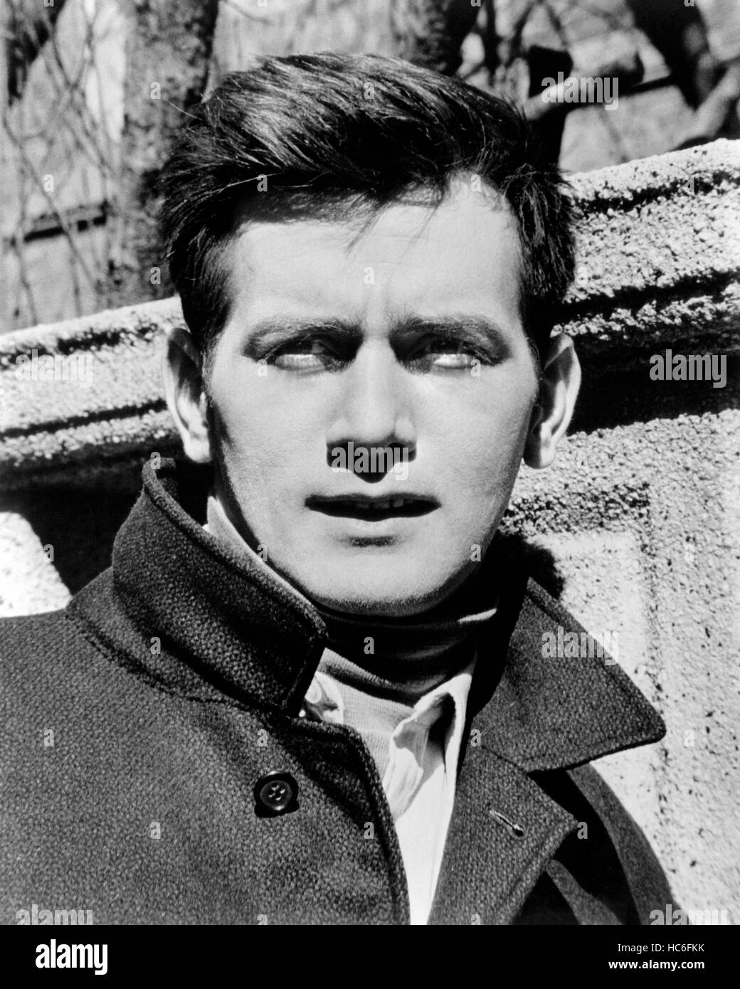 THE SUBJECT WAS ROSES, Martin Sheen, 1968 Stock Photo Alamy