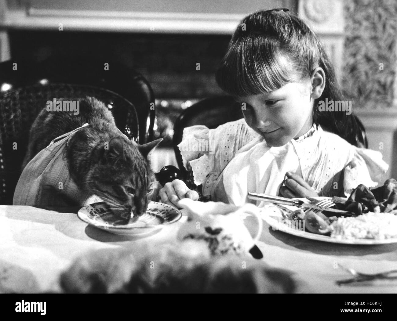 THE THREE LIVES OF THOMASINA, Thomasina the cat, Karen Dotrice, 1964 Stock Photo Alamy