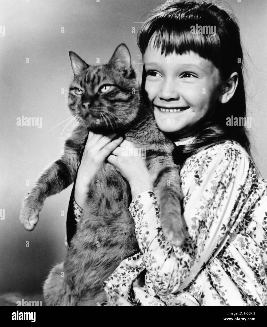 THE THREE LIVES OF THOMASINA, Karen Dotrice, 1964 Stock Photo Alamy