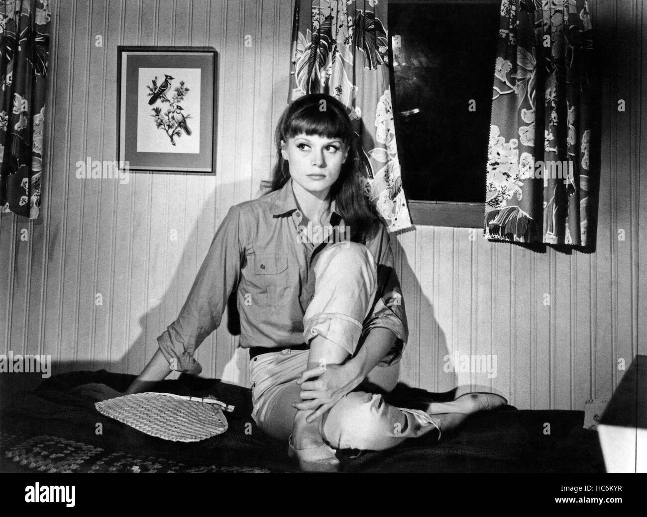 THAT MAN FROM RIO, (aka L'HOMME DE RIO), Francoise, Dorleac, 1964 Stock ...