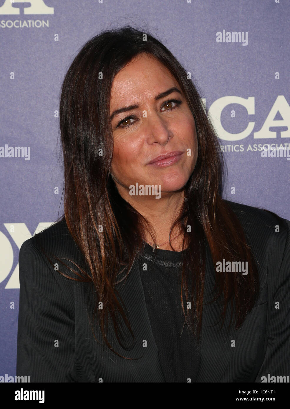 FOX Summer TCA Press Tour  Featuring: Pamela Adlon Where: Los Angeles, California, United States When: 09 Aug 2016 Stock Photo