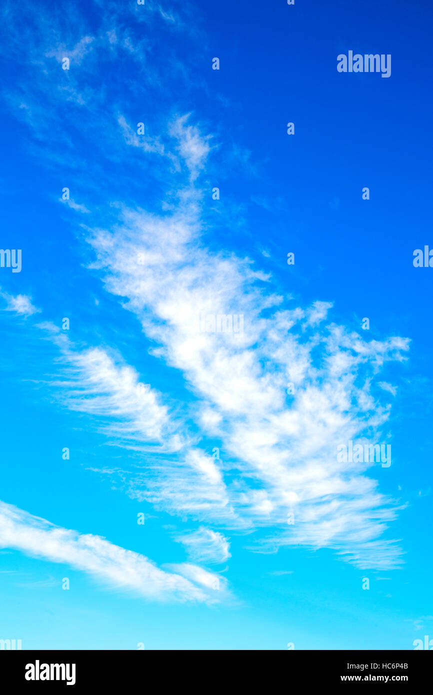 in the blue sky white soft clouds and abstract background Stock Photo ...