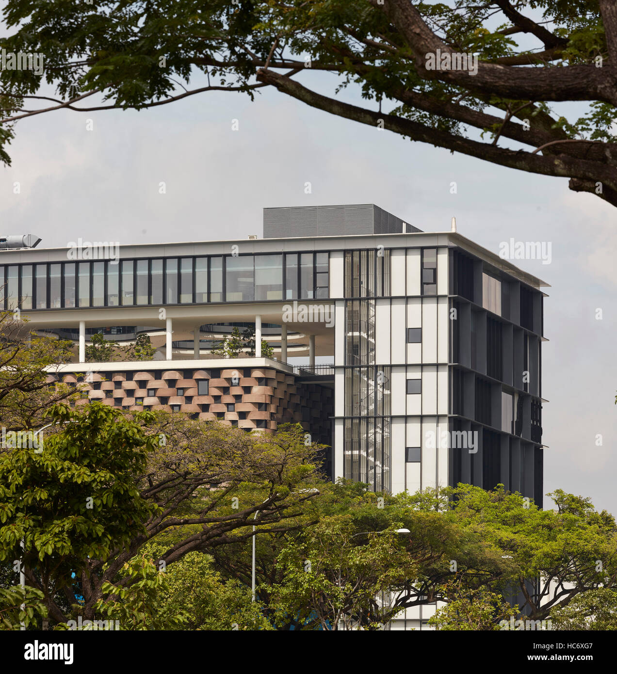 Facade detail with trees. SELECT Group Headquarters, Singapore ...