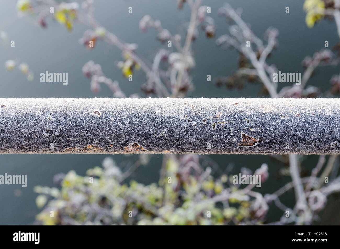 Iron railing covered in frost Stock Photo