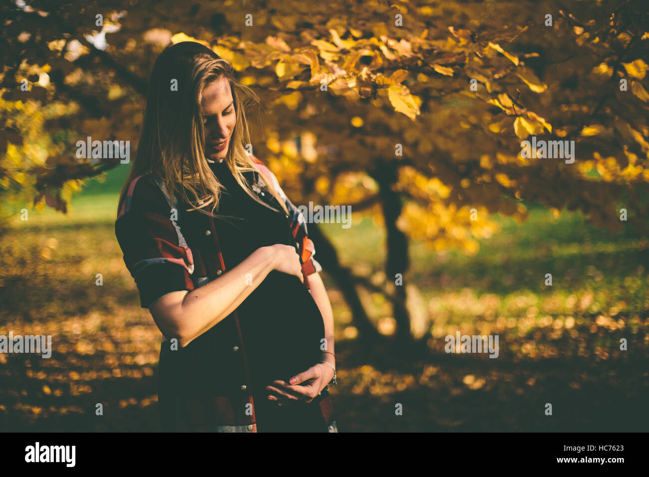 Young pregnant woman posing in autumn park Stock Photo - Alamy