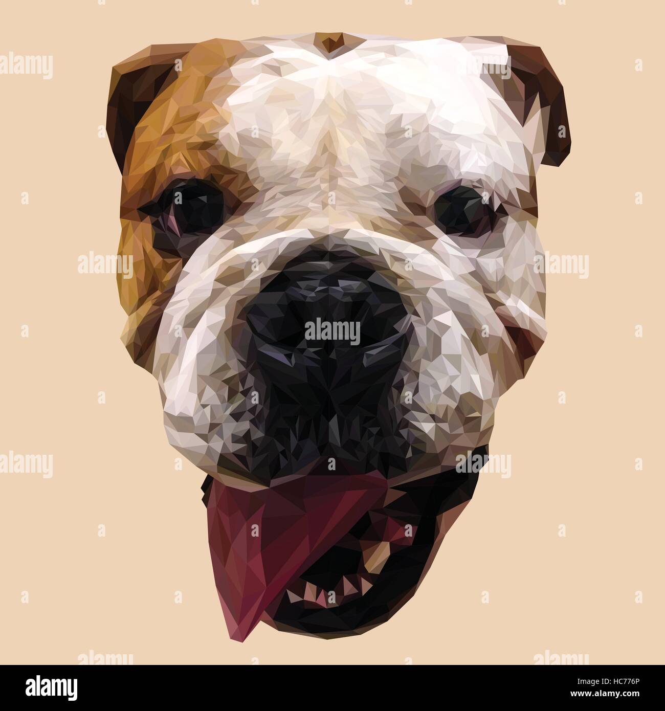 English Bulldog dog low poly design. Triangle vector illustration Stock Vector