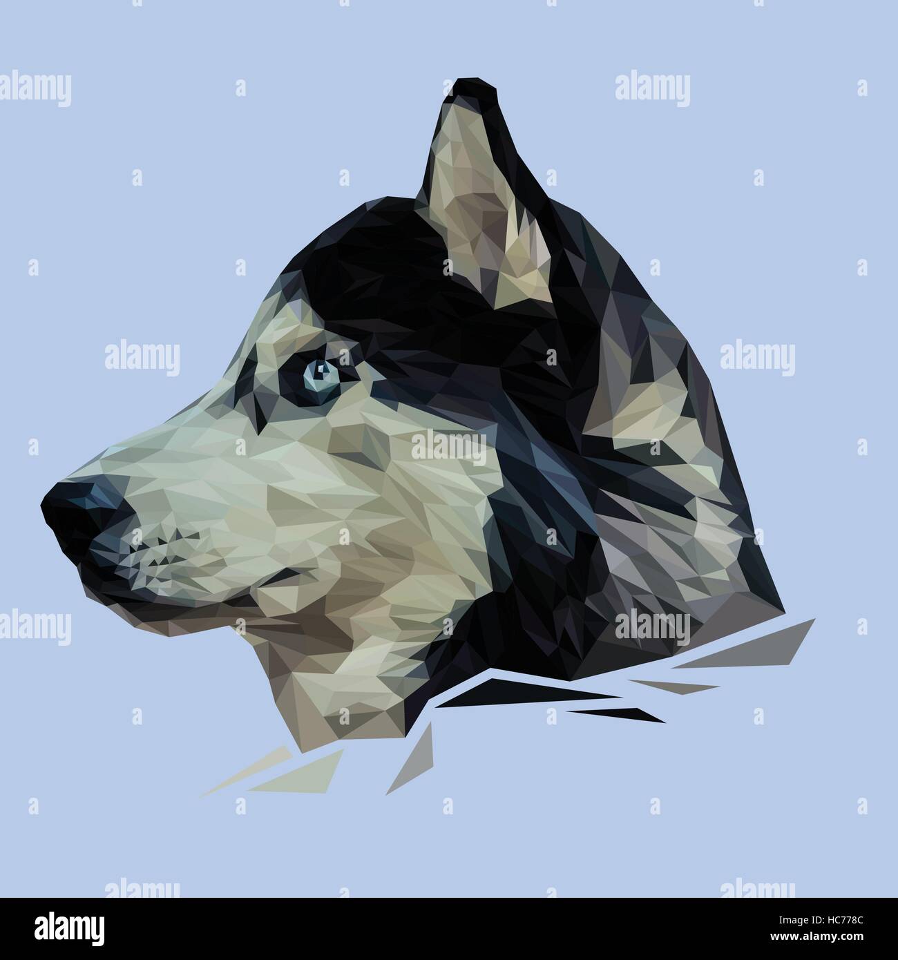 Husky dog low poly design. Triangle vector illustration Stock Vector