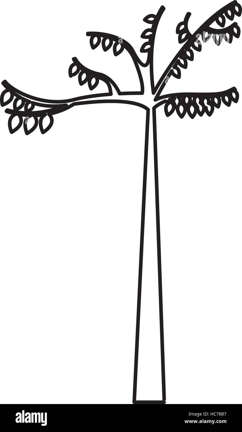 tree plant silhouette isolated icon vector illustration design Stock ...