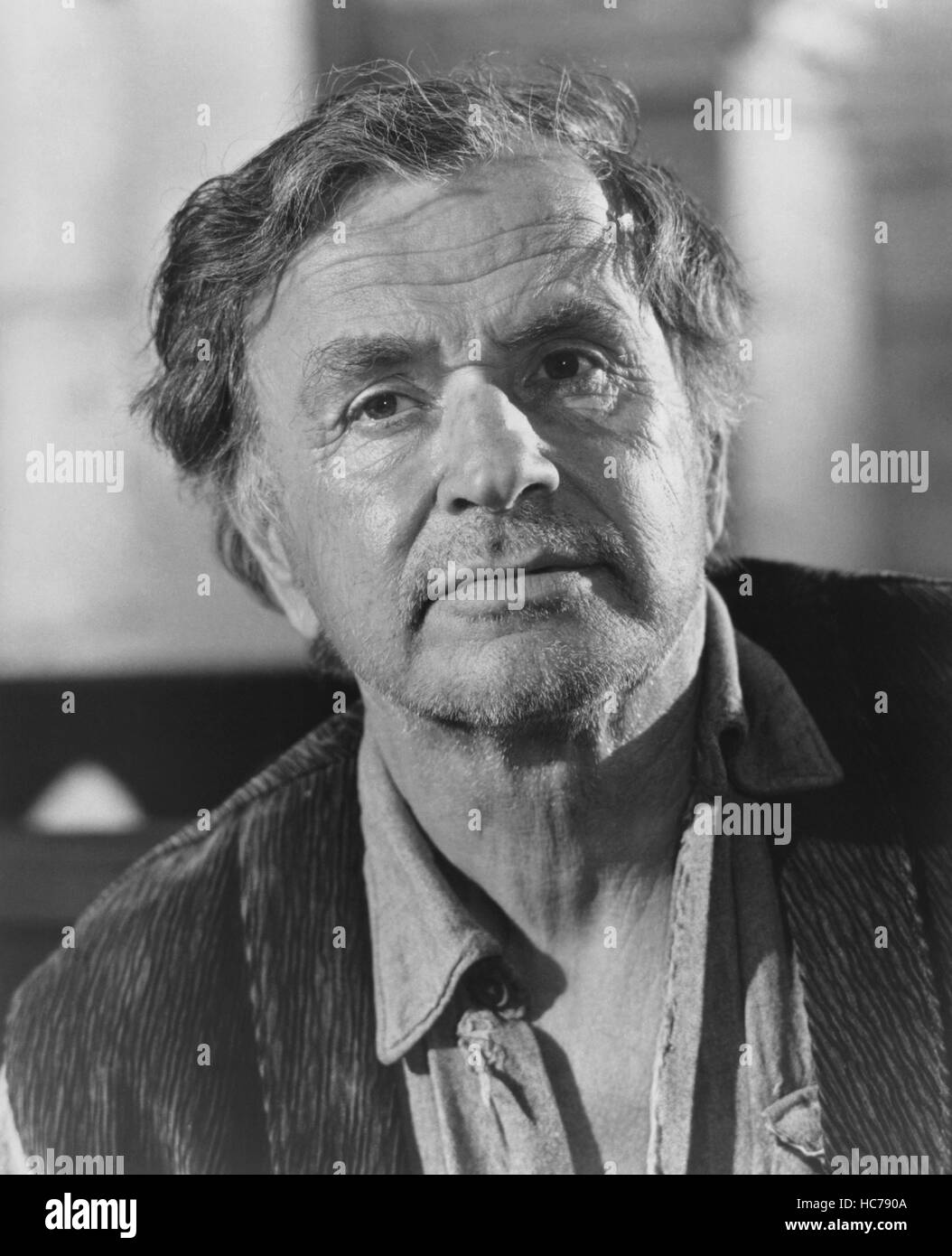 THE SPIKES GANG, Noah Beery Jr., 1974 Stock Photo - Alamy