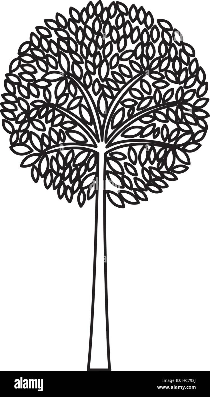 tree plant silhouette isolated icon vector illustration design Stock ...