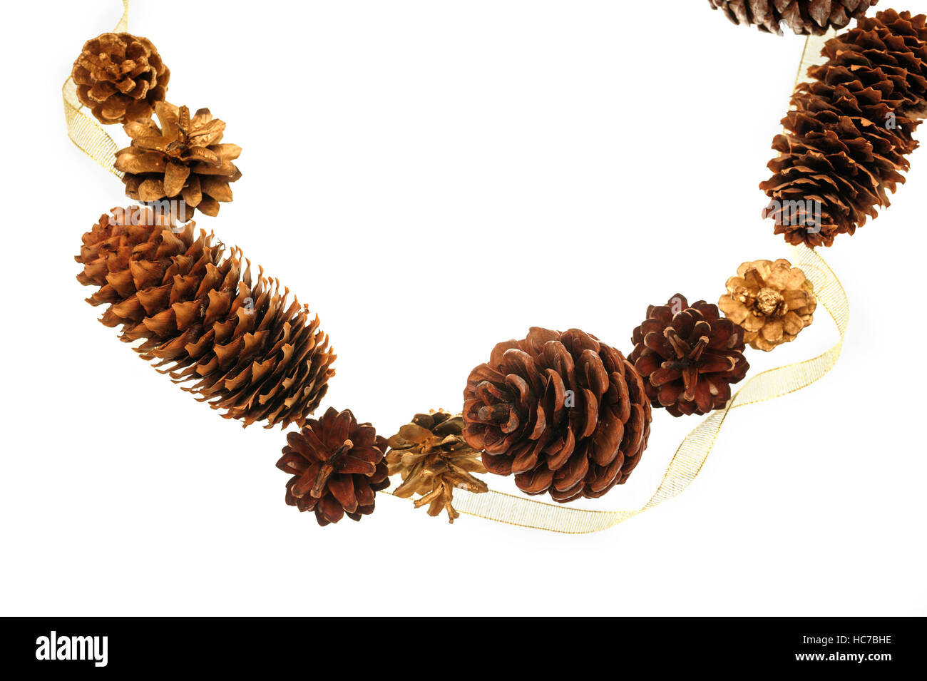 frame of pine cones and a place for text Stock Photo