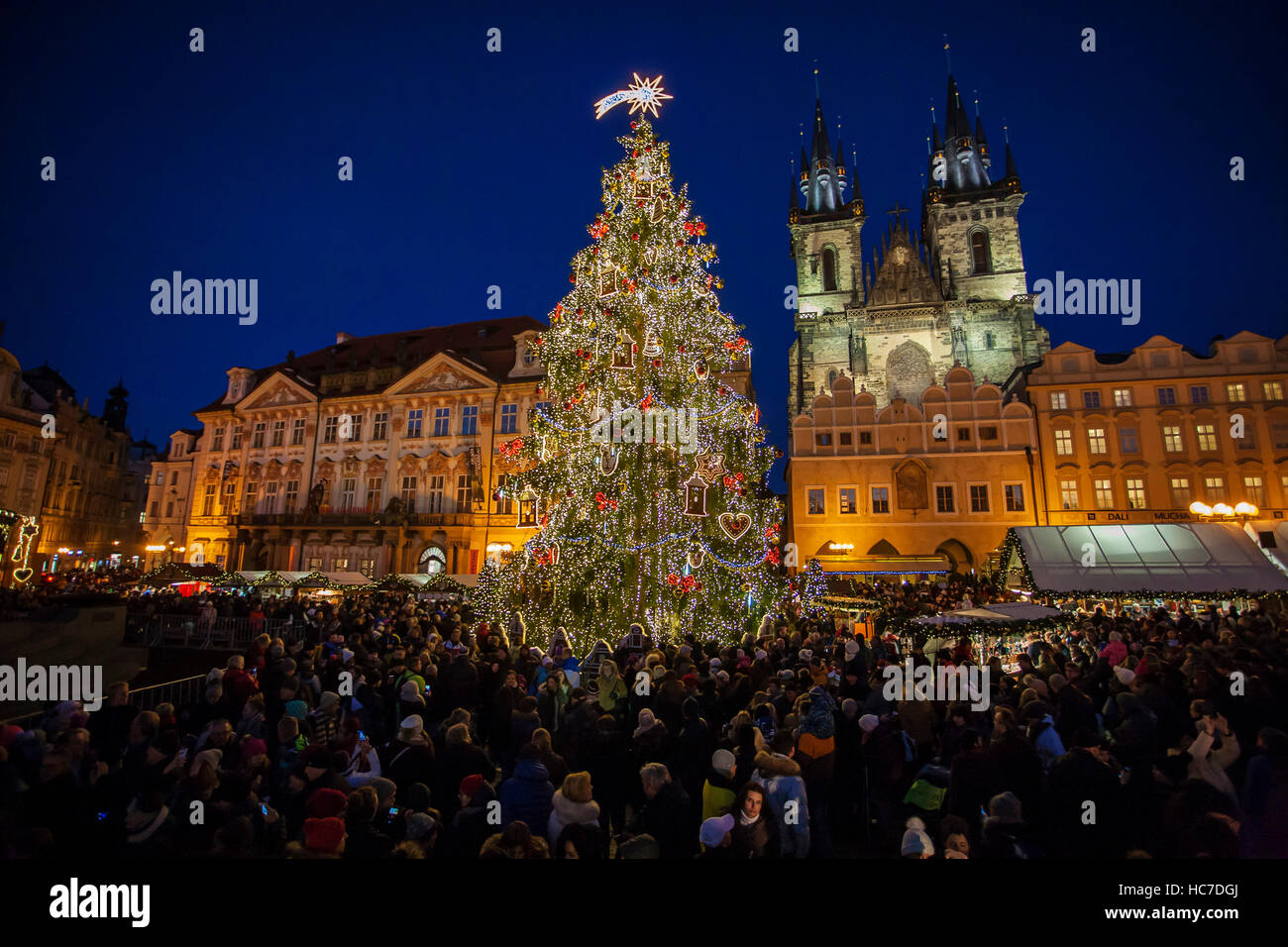Old town square Christmas market with Christmas tree in Prague, Czech