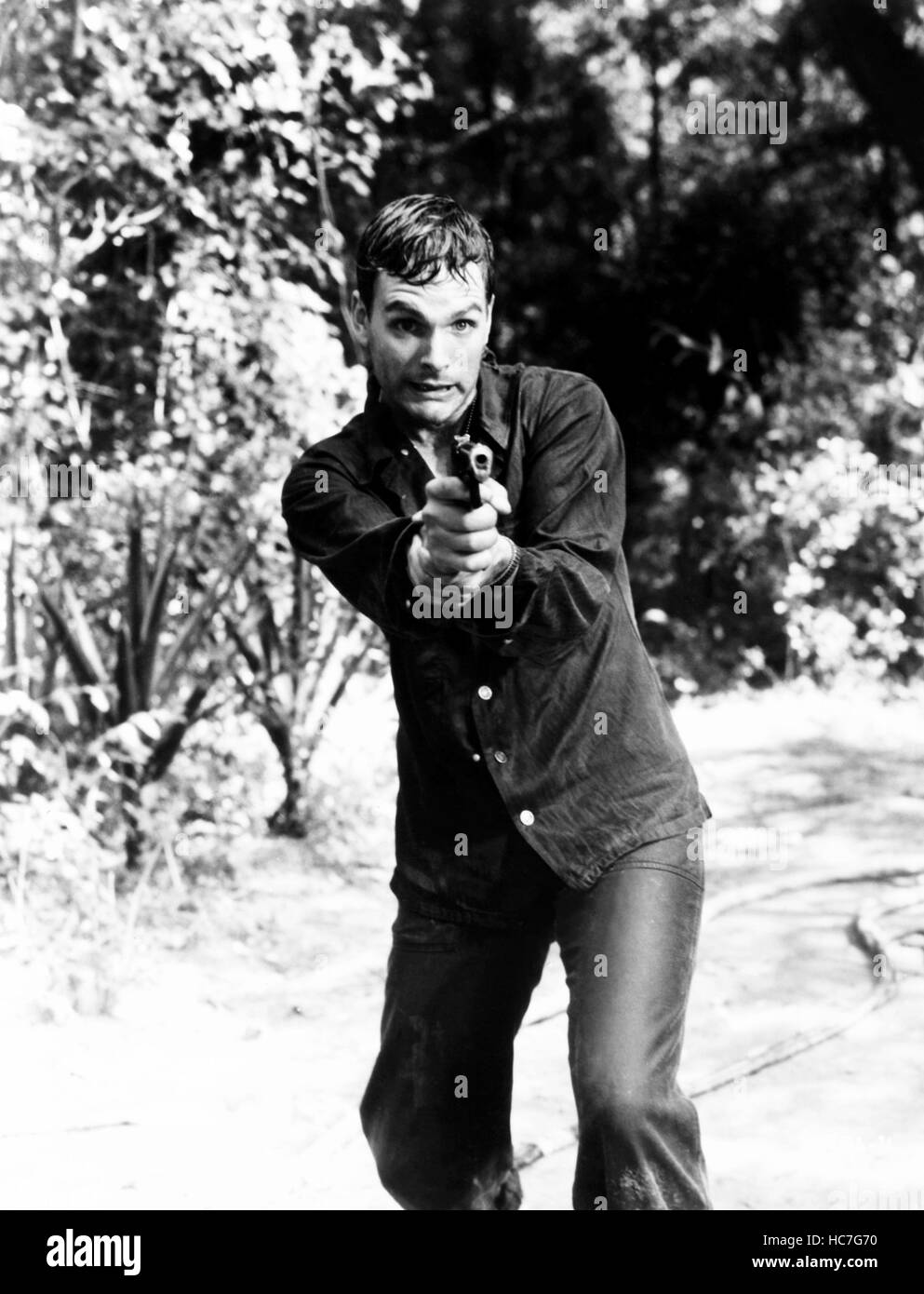 THE THIN RED LINE, Keir Dullea, 1964 Stock Photo Alamy