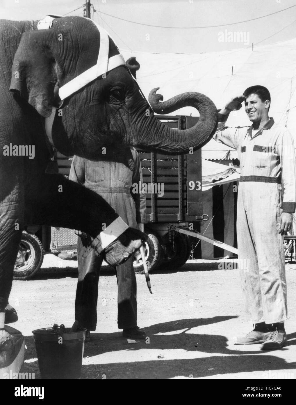 THREE RING CIRCUS Jerry Lewis 1954 Stock Photo Alamy