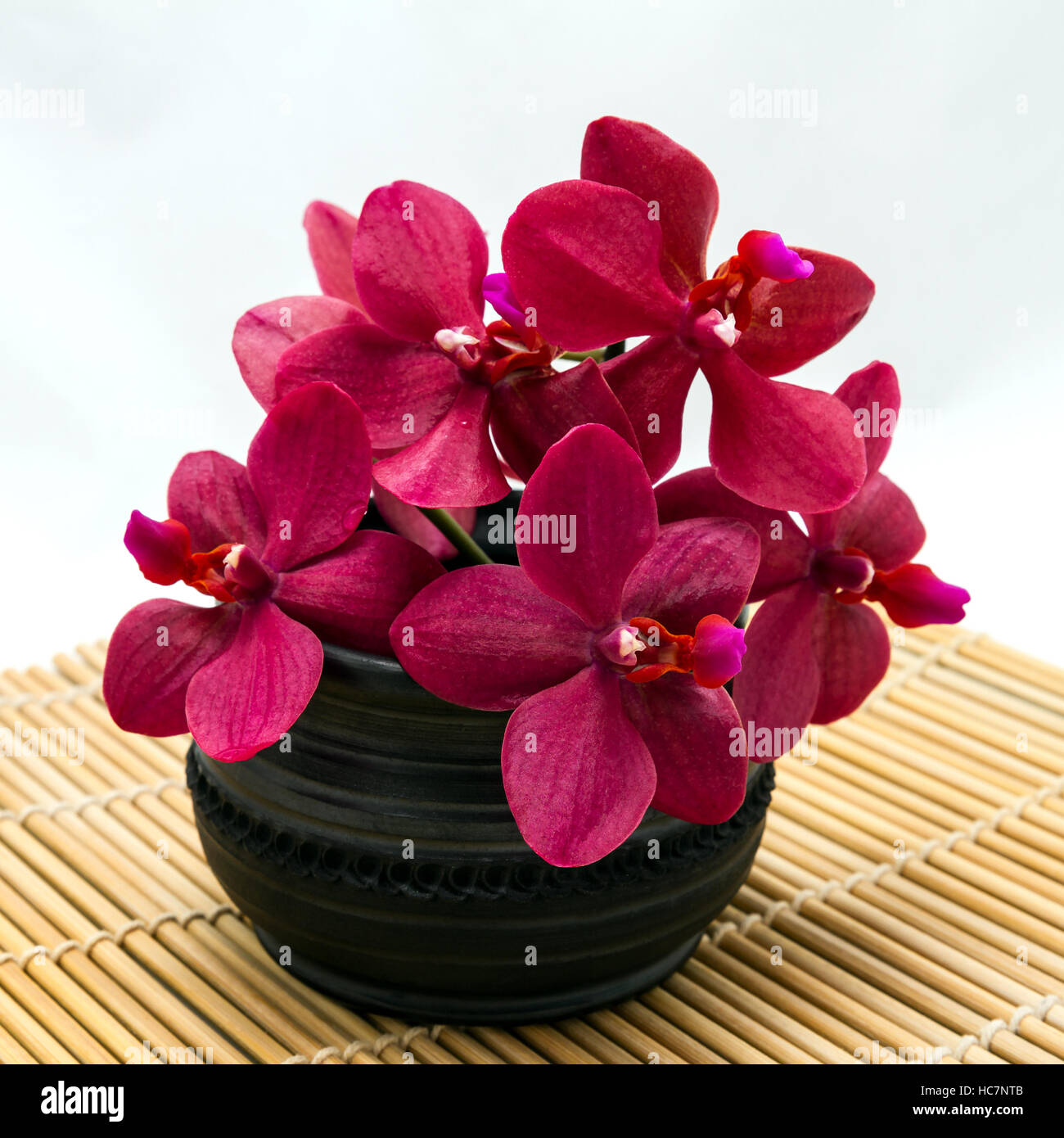 bouquet of purple orchids in a black ceramic vase on a bamboo stand