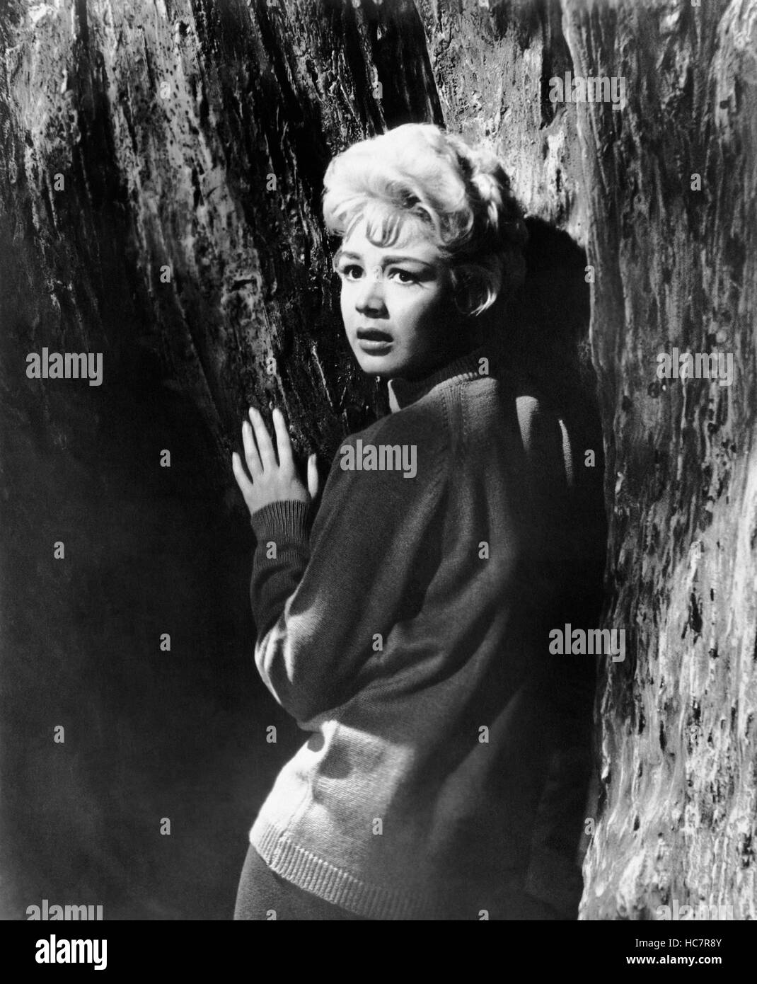 A SUMMER PLACE, Sandra Dee, 1959 Stock Photo Alamy