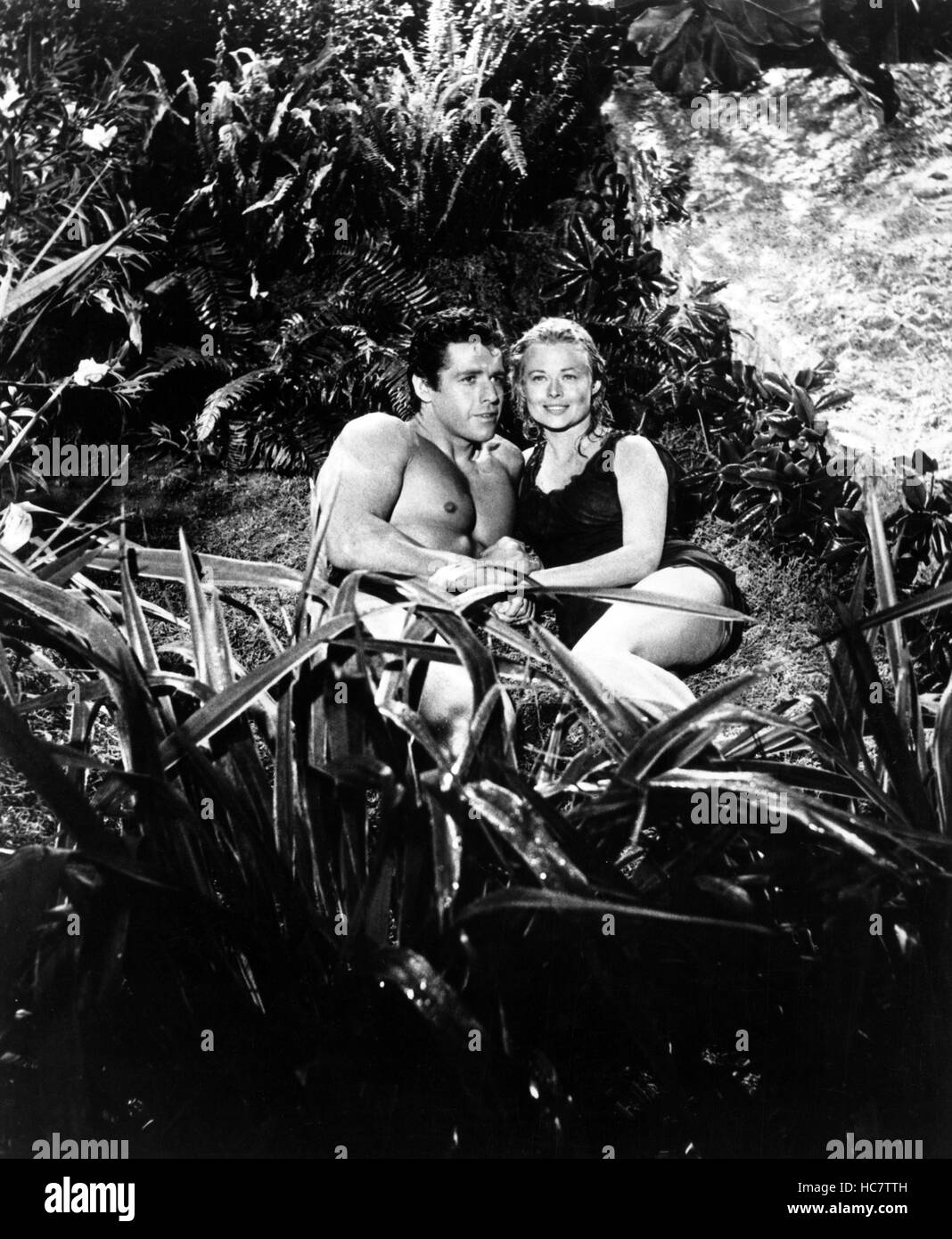 TARZAN S FIGHT FOR LIFE Gordon Scott Eve Brent 1958 Stock Photo Alamy tarzan-s-fight-for-life-gordon-scott-eve-brent-1958-stock-photo-alamy