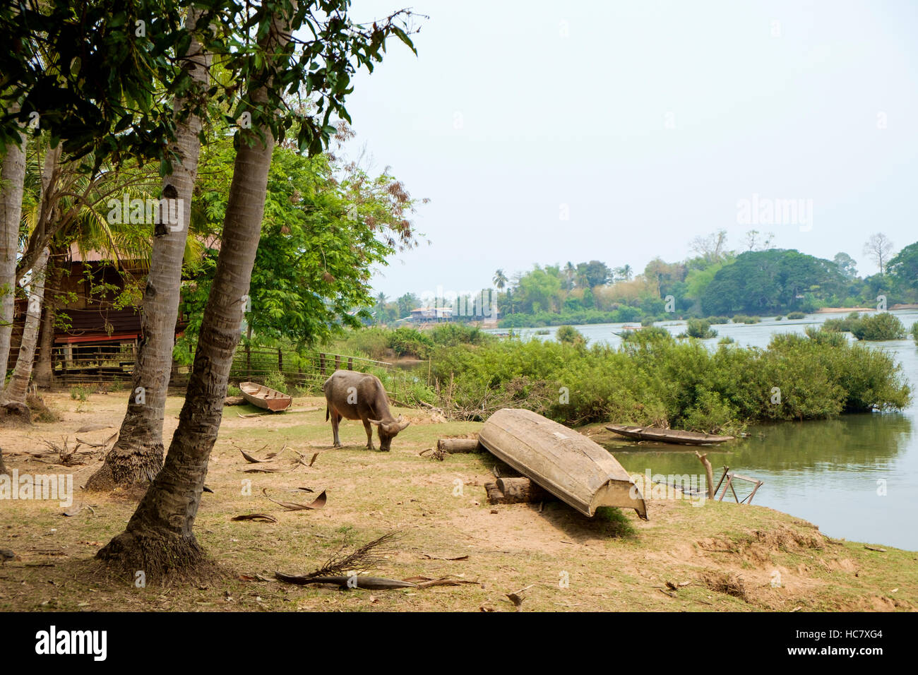 The Mekong River bank at Don Det Island, 4000 Islands (Si Phan Don), Laos. Stock Photo