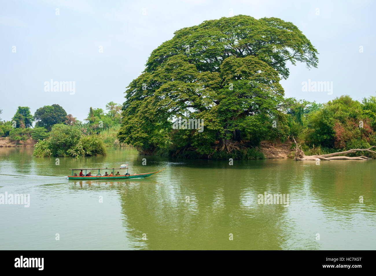 A long-tail boat and a big tree on one of the islets on Mekong River, near the Northern tip of Don Det island, 4000 Islands (Si Phan Don), Laos. Stock Photo