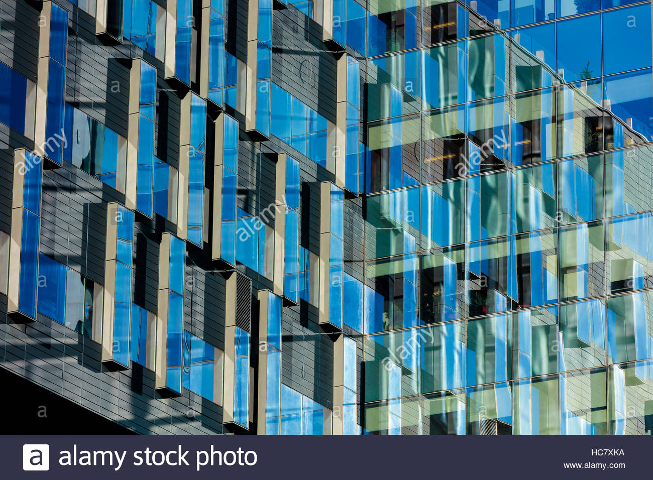 Windows Curtainwall Fenestration Pattern Graphic At Sinai Health