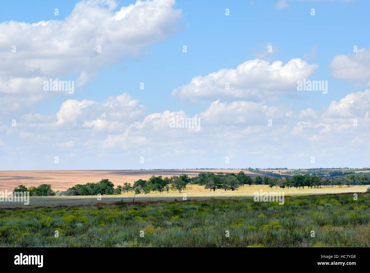 Trees in the field against the blue sky with clouds Stock Photo - Alamy
