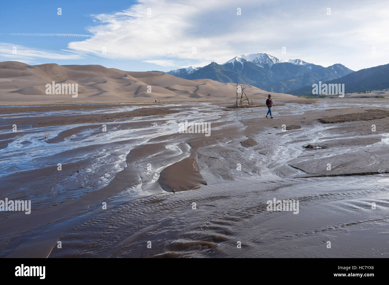 Saguache County, Colorado: Man fording Medano Creek at Great Sand Dunes National Park and Preserve. Stock Photo