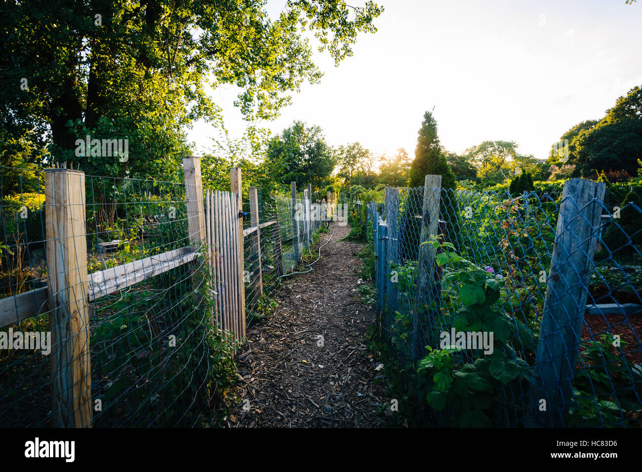 Gardens at Back Bay Fens, in Boston, Massachusetts Stock Photo Alamy