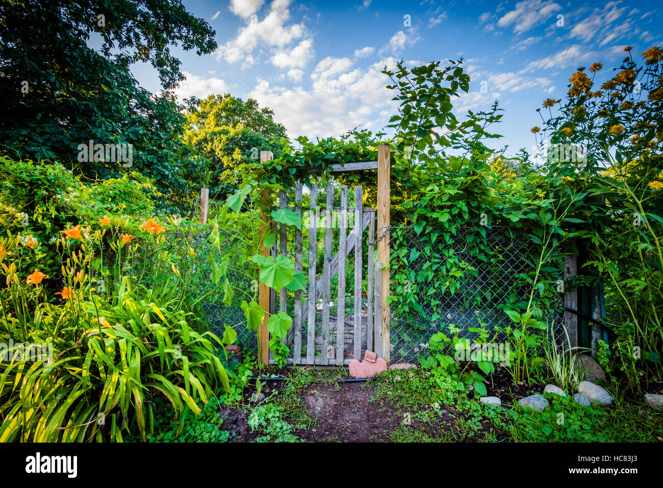 Gardens at Back Bay Fens, in Boston, Massachusetts Stock Photo Alamy