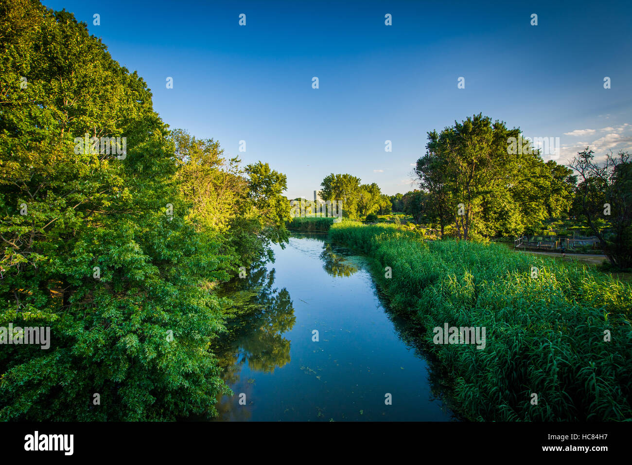 The Muddy River, at Back Bay Fens, in Boston, Massachusetts Stock Photo