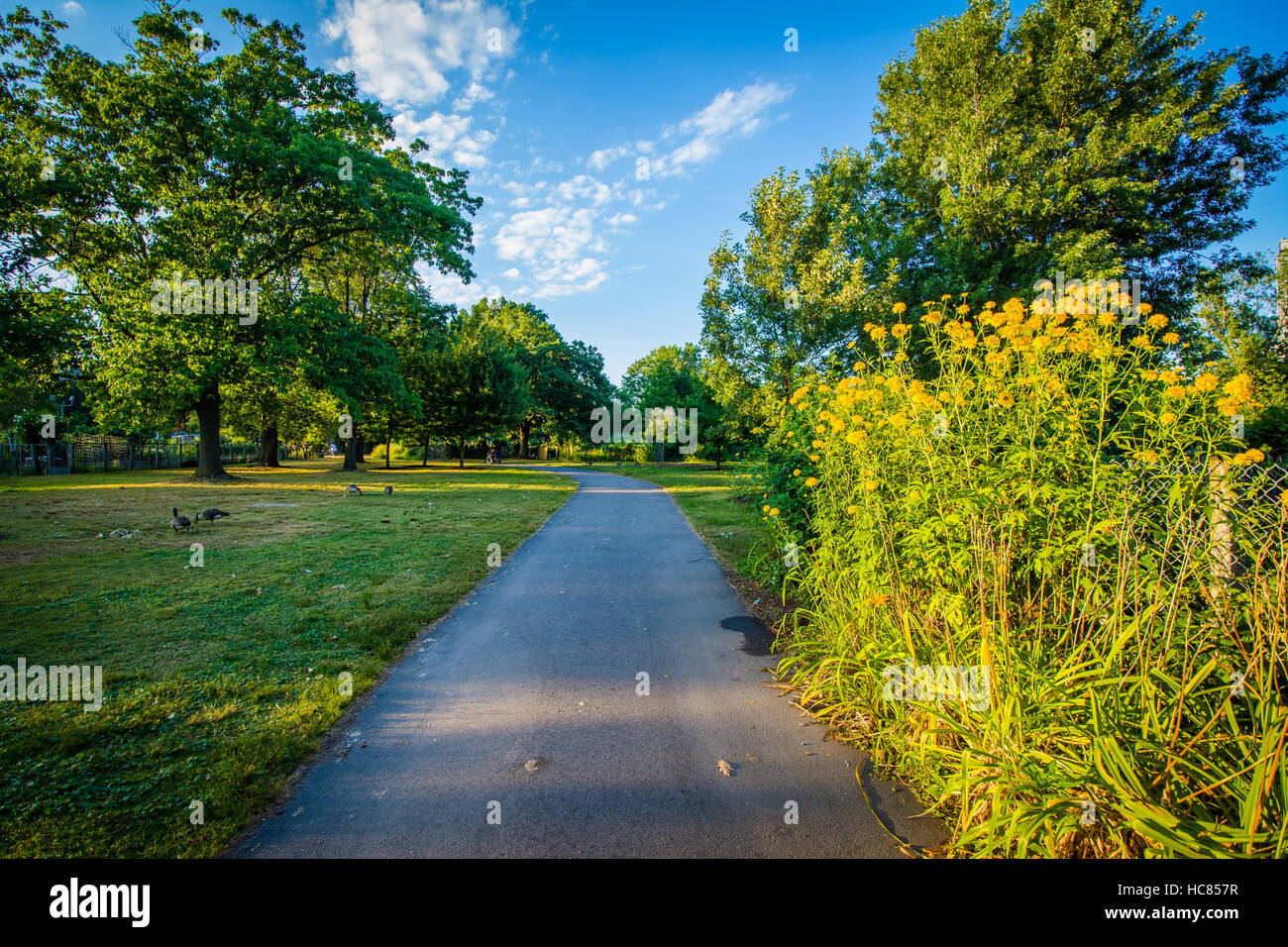 Walkway and gardens at Back Bay Fens, in Boston, Massachusetts Stock