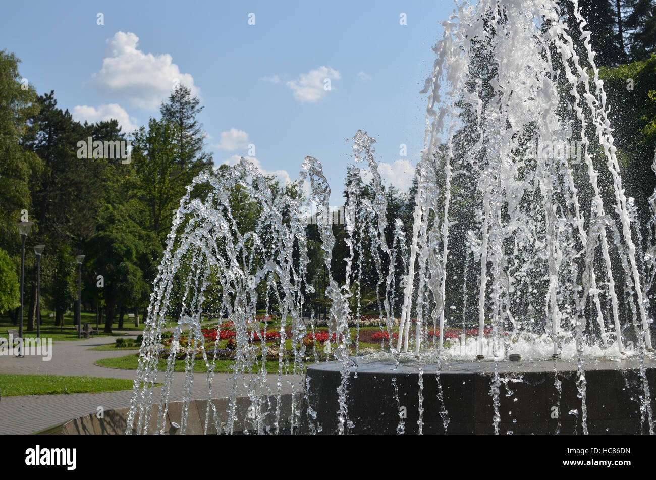 Park with flowers and trees seen through fountain water Stock Photo - Alamy