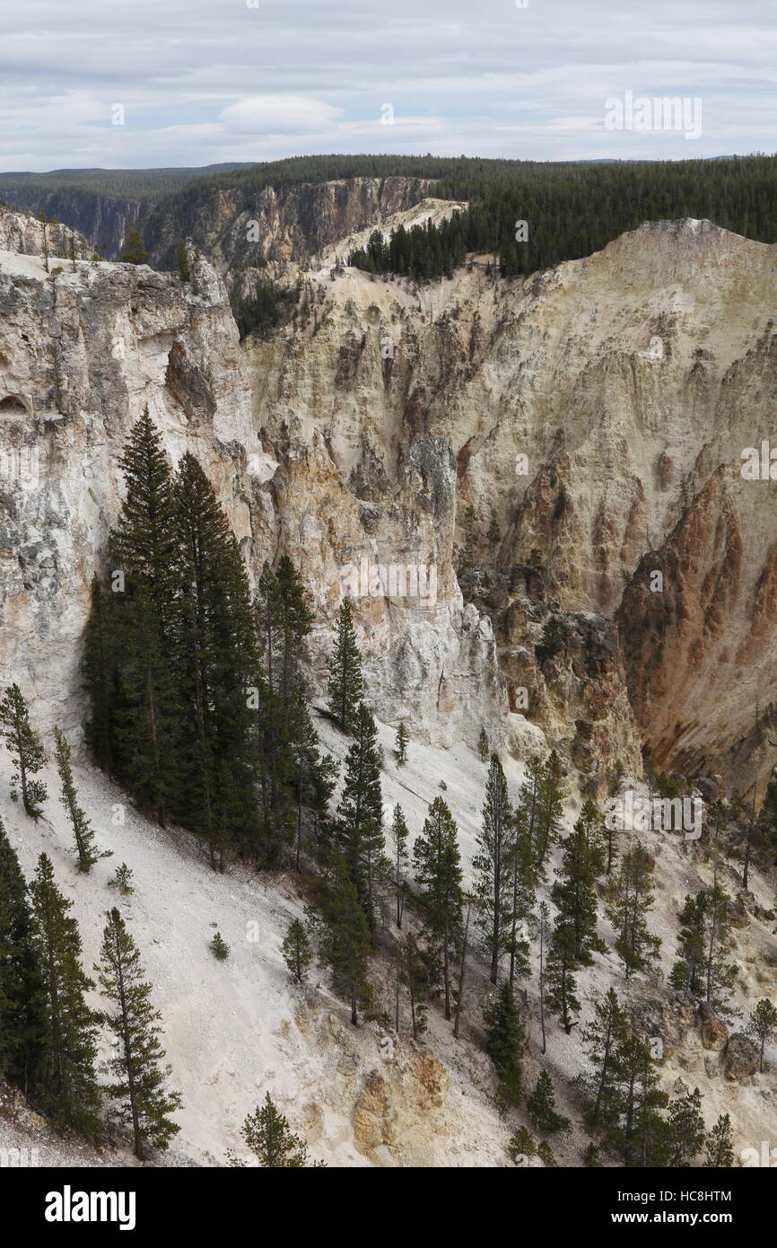 Grand Canyon of the Yellowstone, Yellowstone National Park, WY Stock Photo