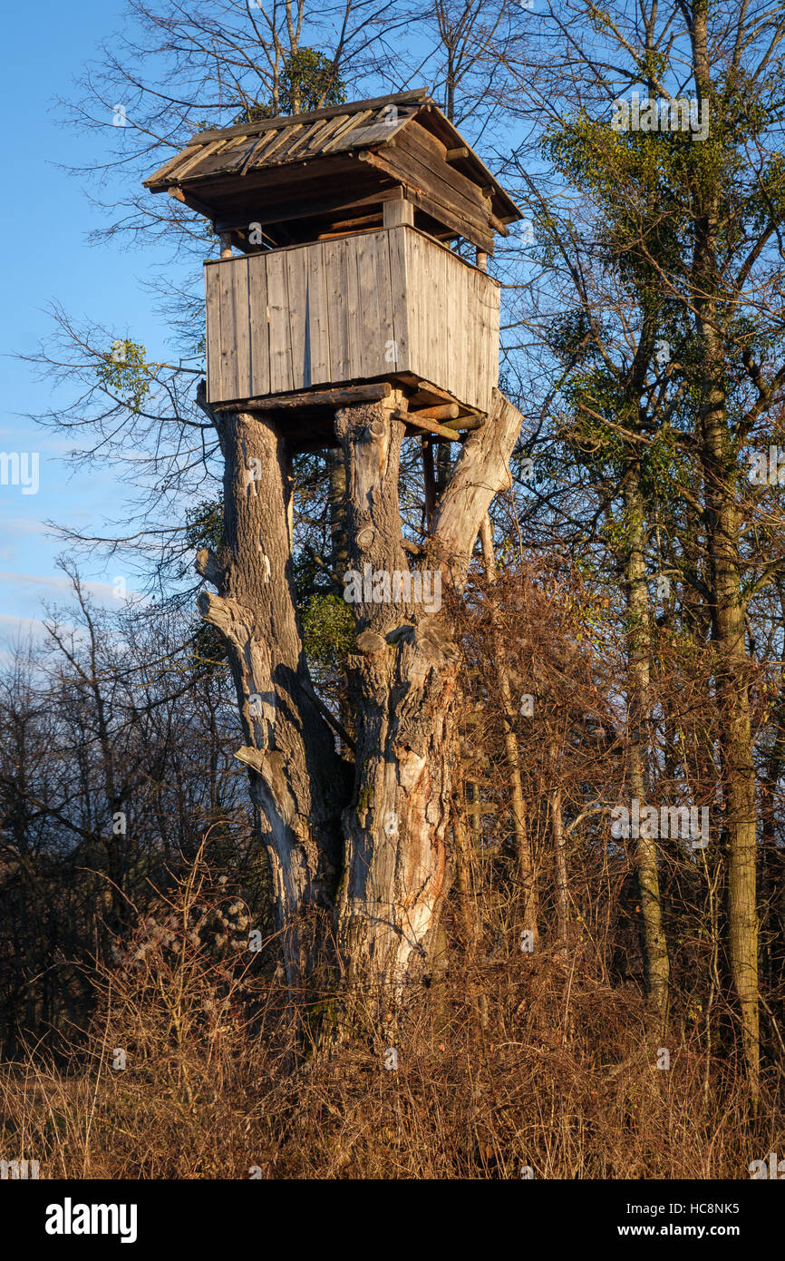 Art Hunting Tree Stands