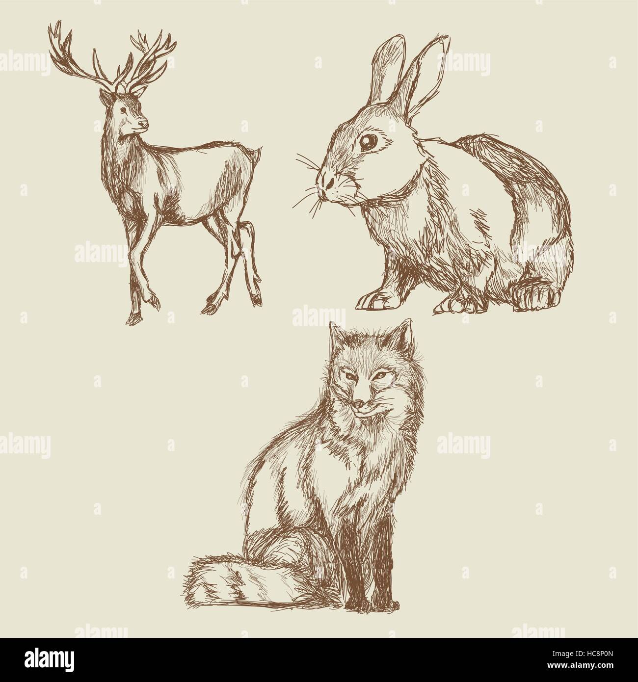 animals hand drawing collection vintage Stock Vector Image & Art - Alamy