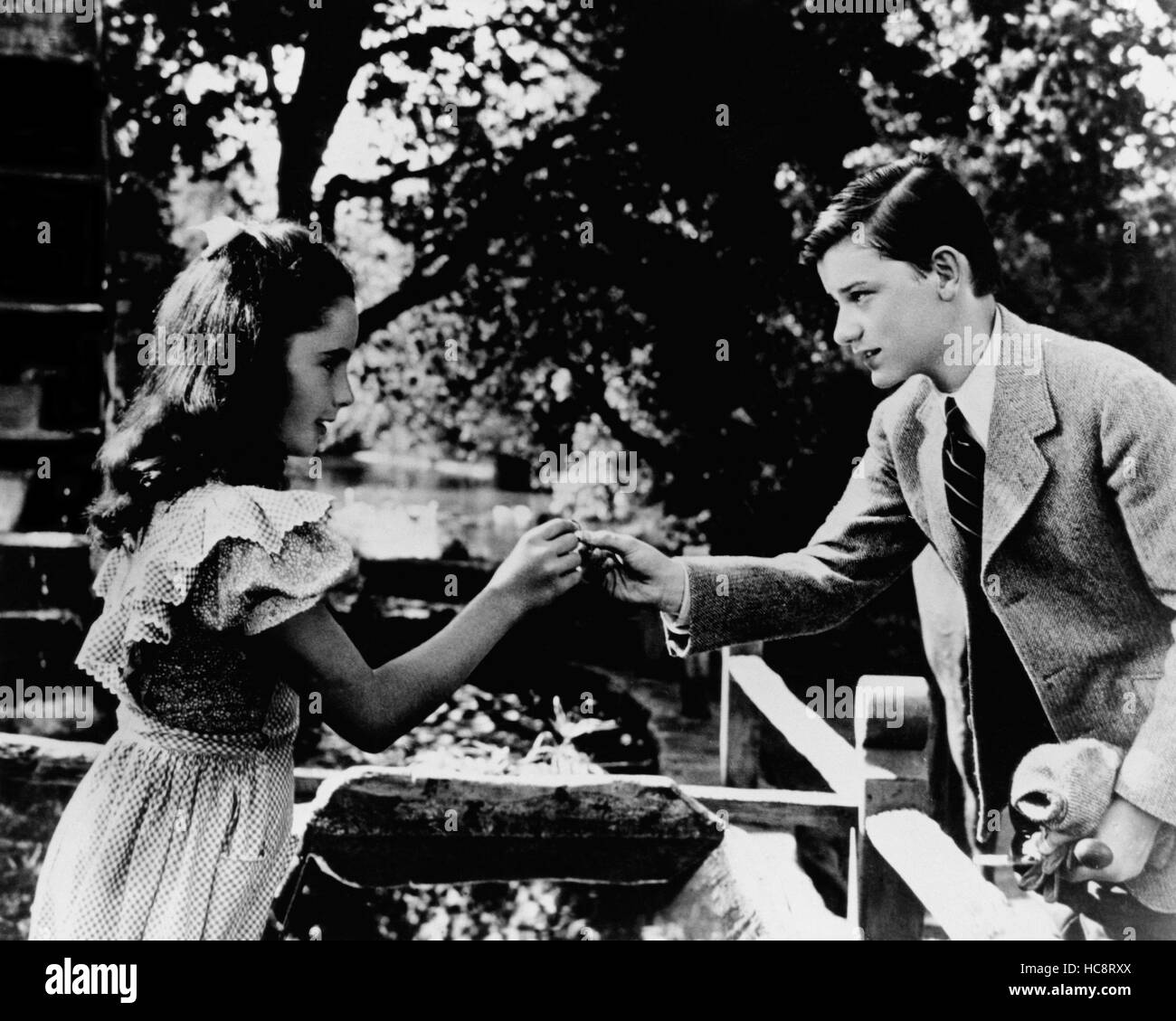 THE WHITE CLIFFS OF DOVER, Elizabeth Taylor, Roddy McDowall, 1944 Stock
