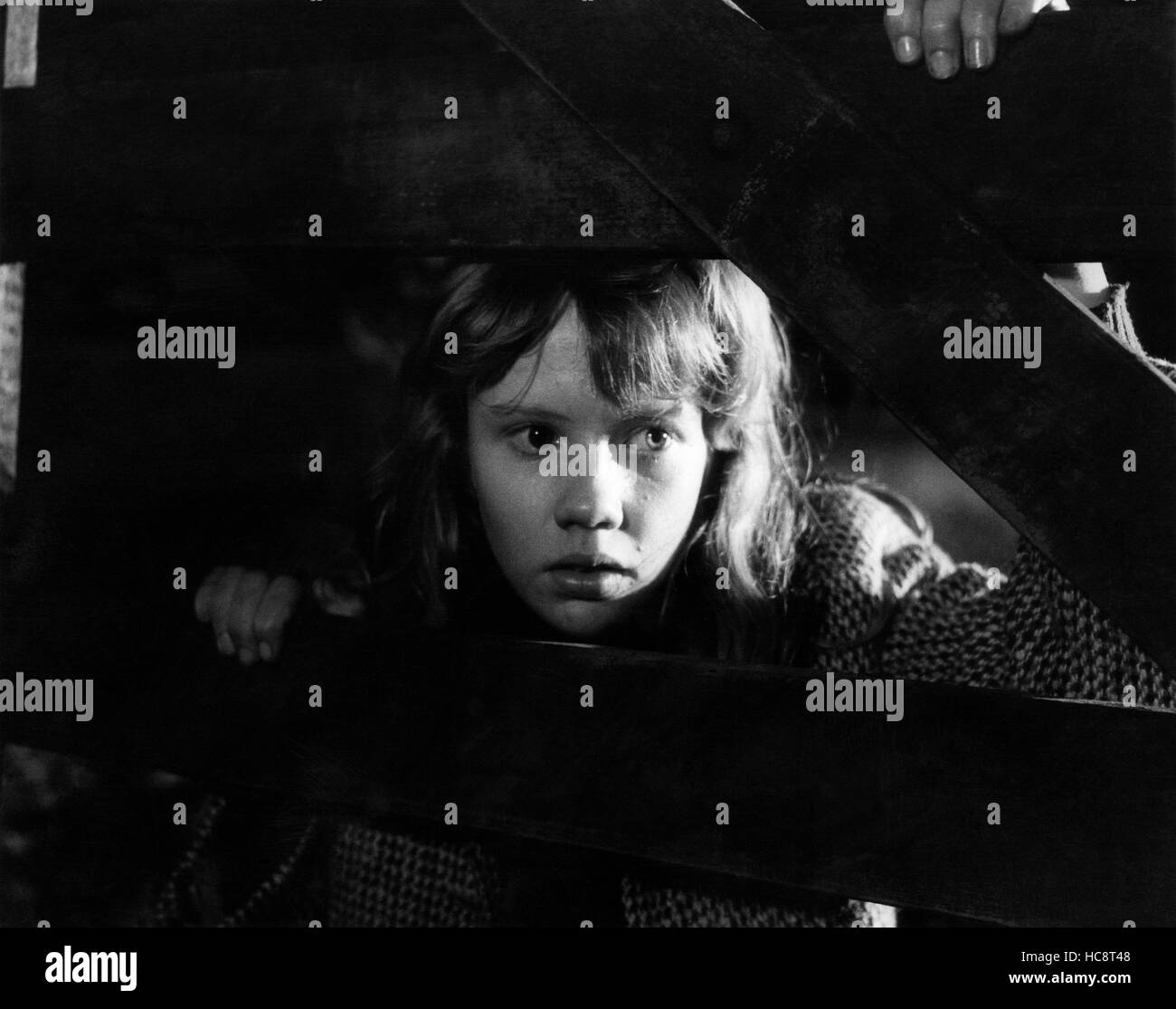 WHISTLE DOWN THE WIND, Hayley Mills, 1961 Stock Photo Alamy