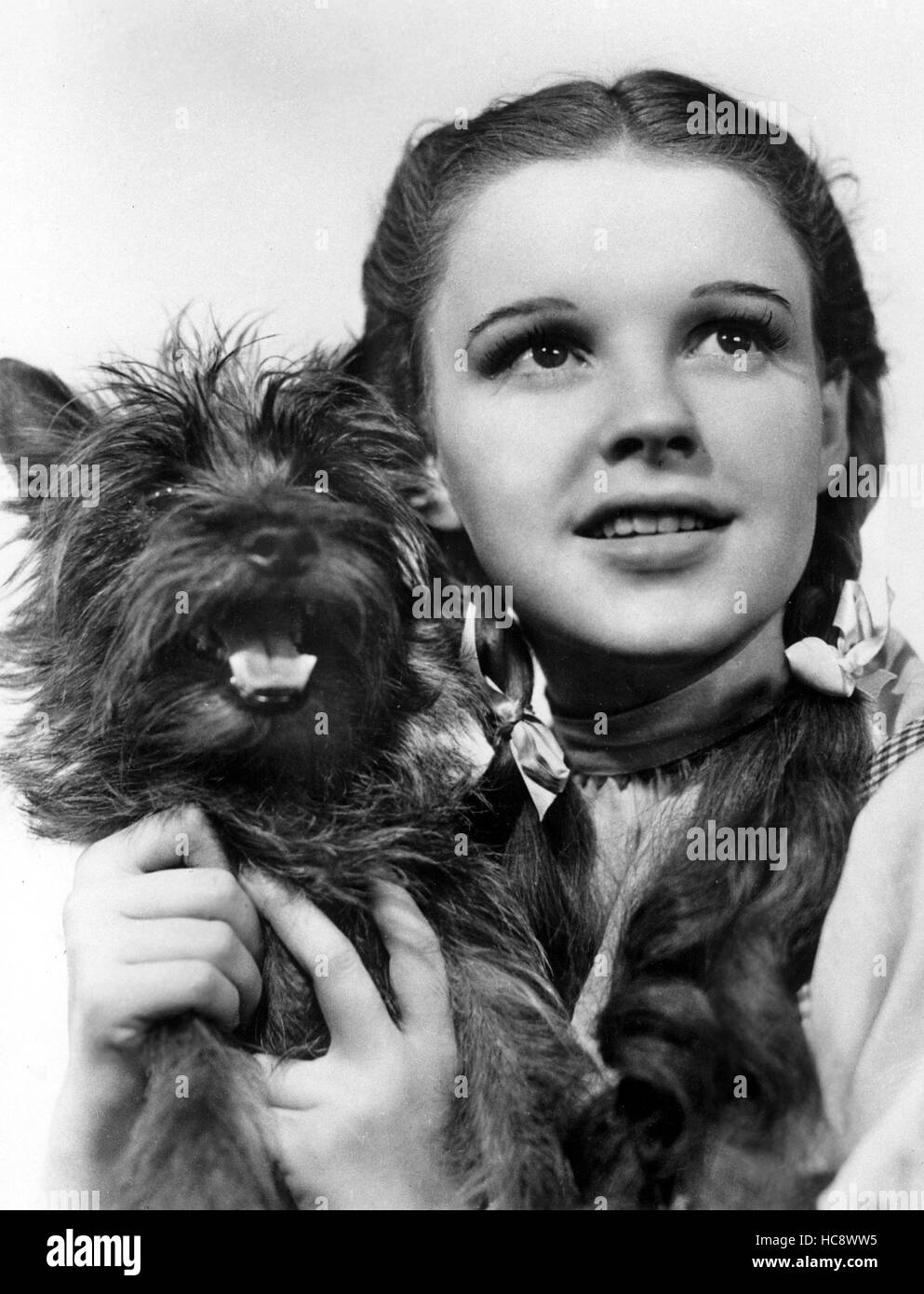 THE WIZARD OF OZ, Toto, Judy Garland, 1939 Stock Photo - Alamy