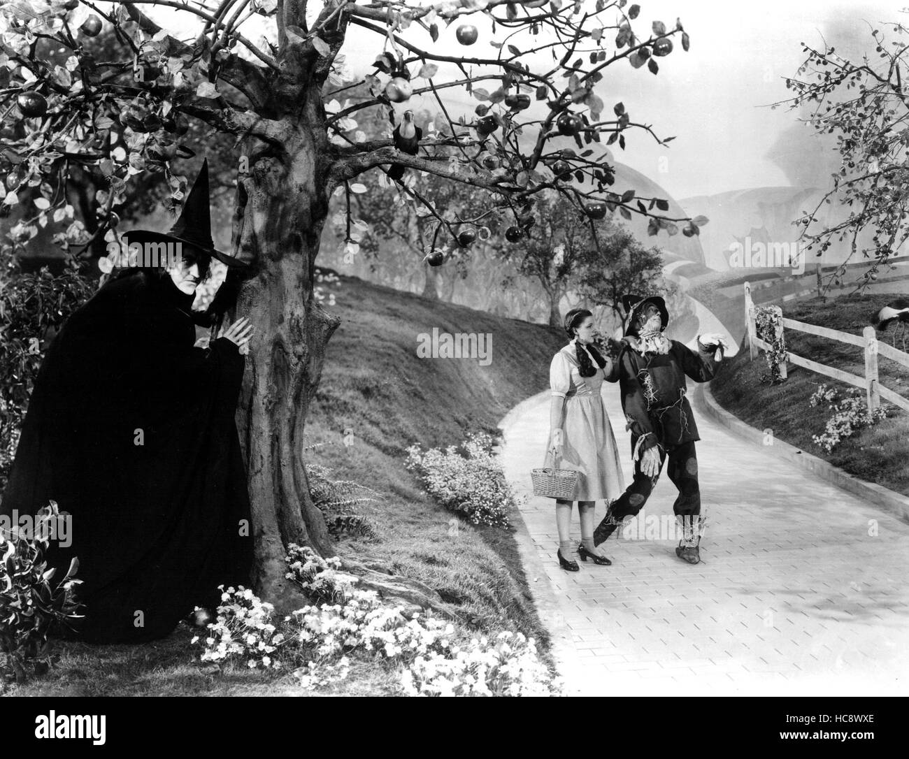 THE WIZARD OF OZ, Margaret Hamilton, Judy Garland and Ray Bolger, 1939 ...