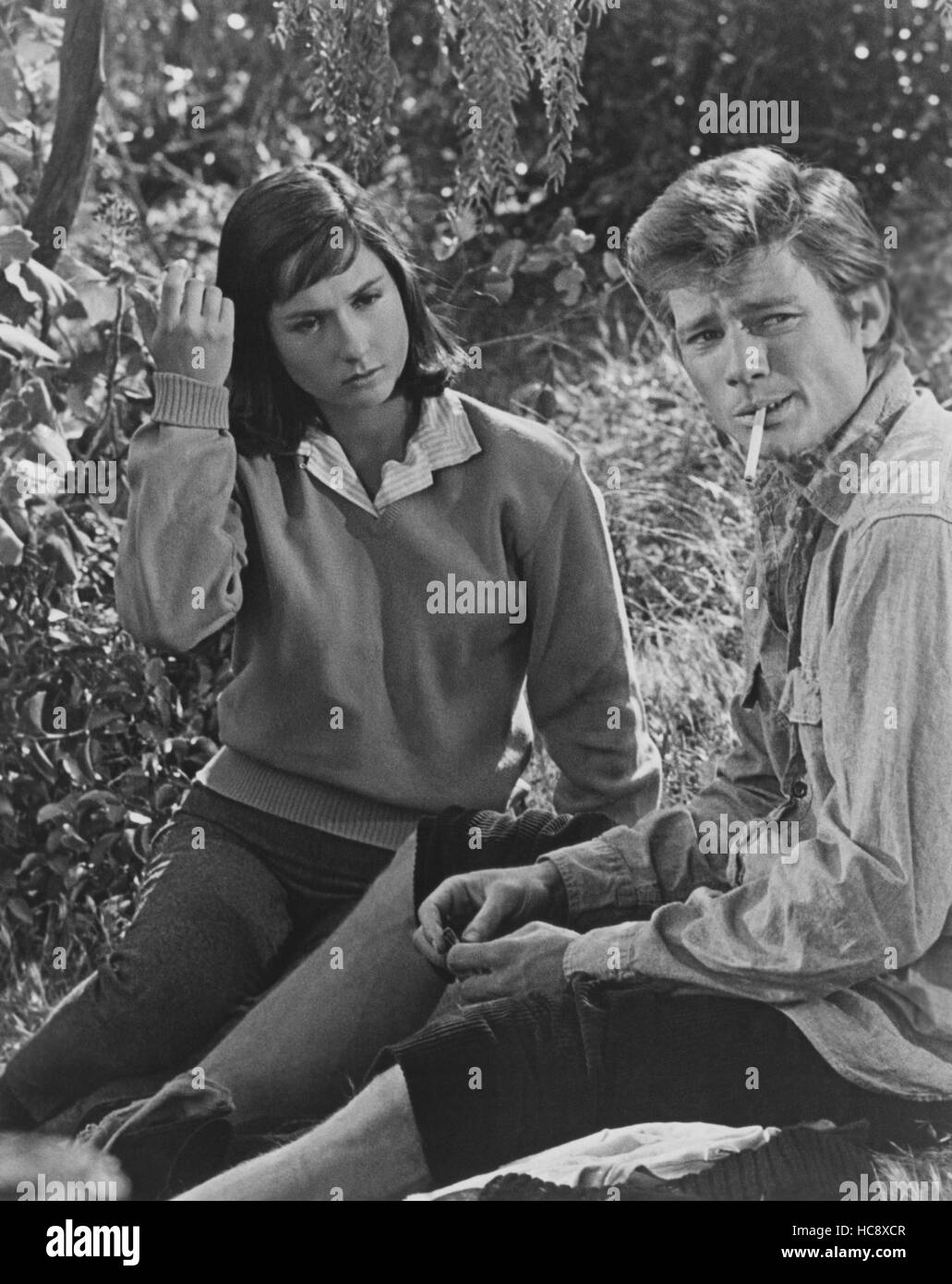 WILD SEED, from left: Celia Kaye, Michael Parks, 1965 Stock Photo - Alamy