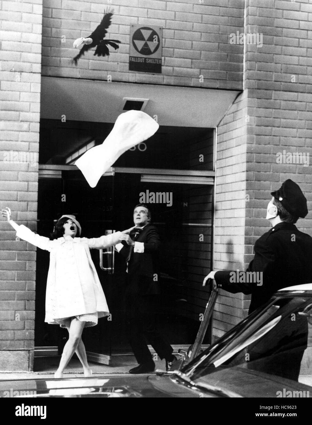 WHAT'S SO BAD ABOUT FEELING GOOD?, Mary Tyler Moore, Peppard