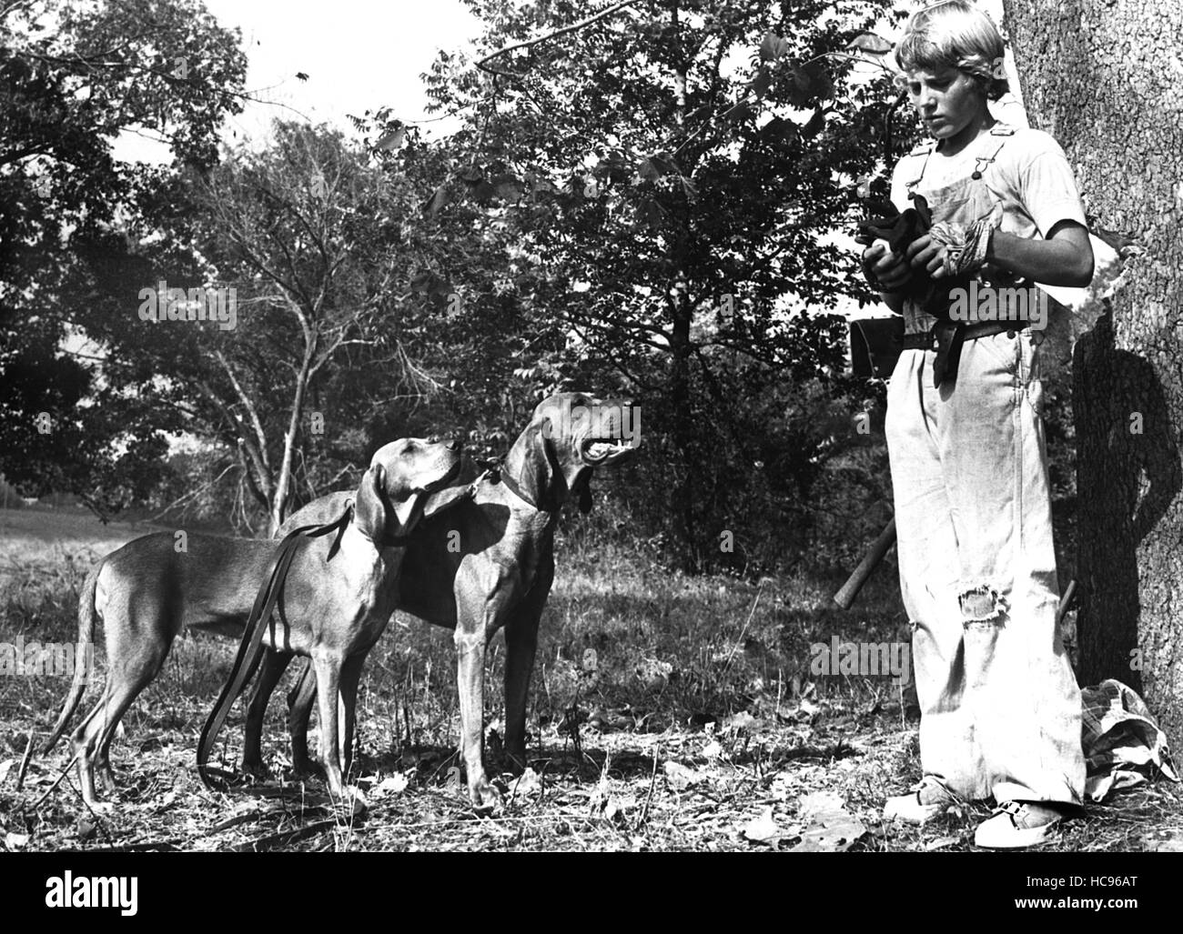 Where The Red Fern Grows Right Stewart Petersen 1974 Stock Photo Alamy Where The Red Fern Grows Right Stewart Petersen 1974 Stock Photo Alamy