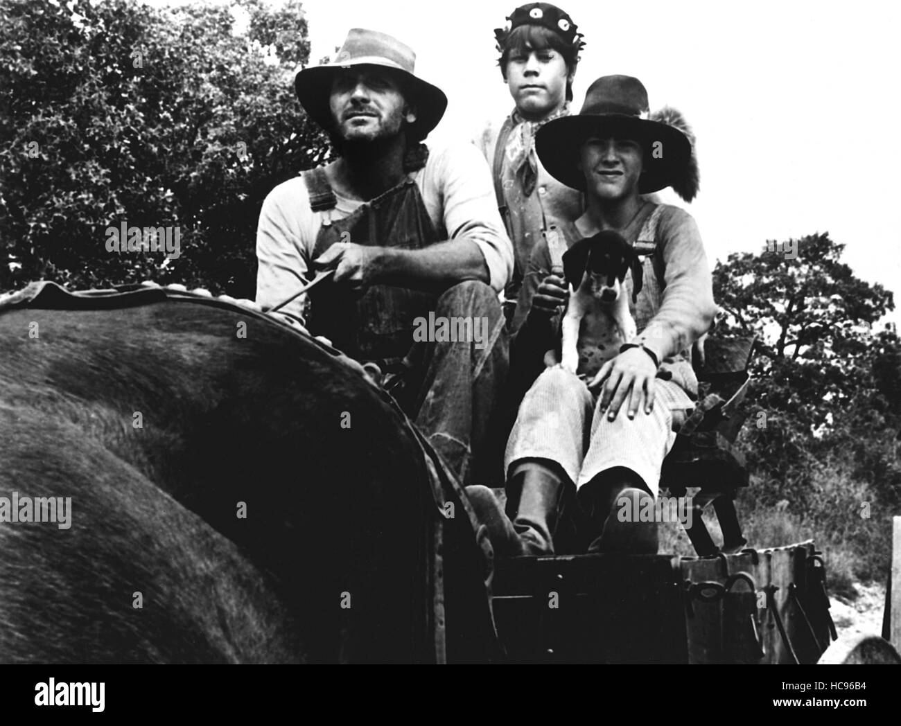 Where The Red Fern Grows 1974 Stock Photo Alamy Where The Red Fern Grows 1974 Stock Photo Alamy