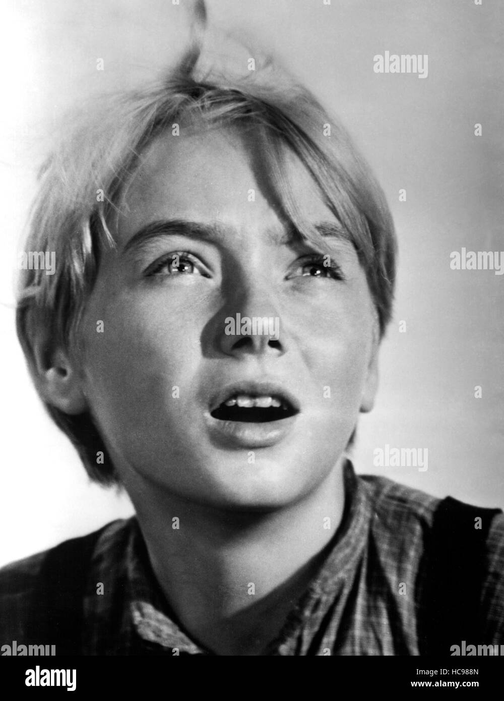 THE YEARLING, Claude Jarman Jr., 1946 Stock Photo - Alamy