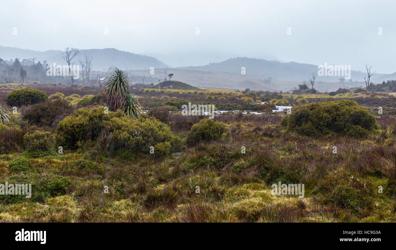 A rainy day at Cradle valley at the starting point of the Overland Hiking Track Stock Photo Alamy