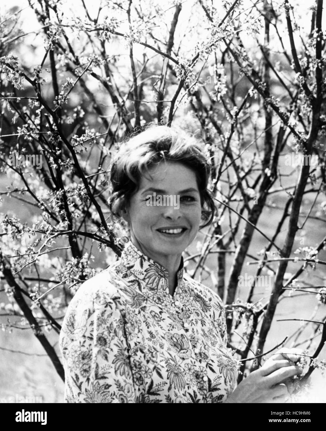 A Walk In The Spring Rain Ingrid Bergman 1970 Stock Photo Alamy https www alamy com stock photo a walk in the spring rain ingrid bergman 1970 128059910 html