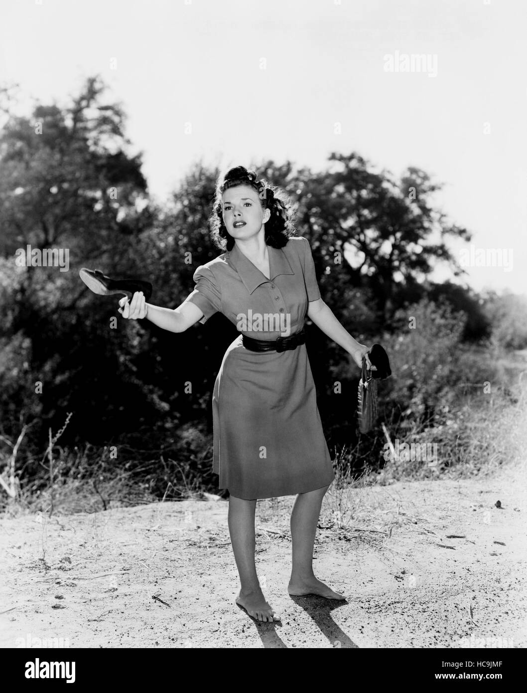 Where are your children gale storm 1943 stock photo alamy