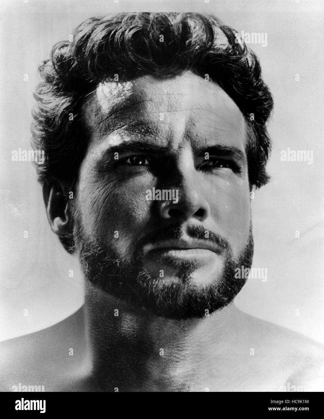 THE WHITE WARRIOR, (aka AGI MURAD IL DIAVOLO BIANCO), Steve Reeves